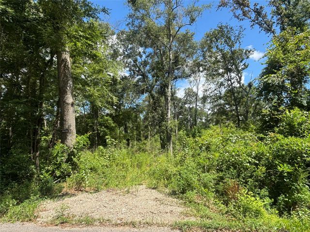 26059 E Christine Drive, Splendora, TX 77372