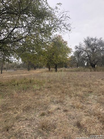 156 County Road 781, Natalia, TX 78059