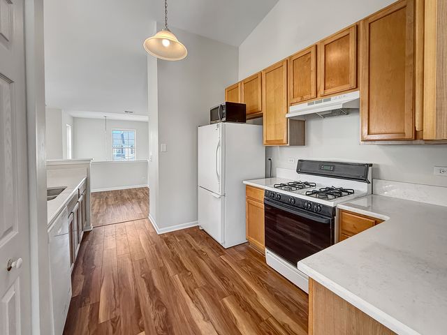 3078 Falling Waters Lane 3078, Lindenhurst, IL 60046