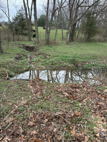 1199 S Diggins Main Street, Seymour, MO 65746