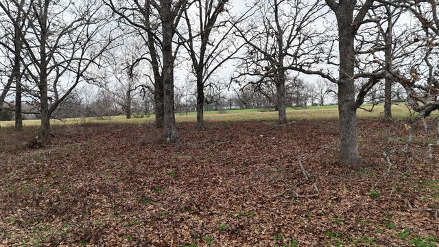 1199 S Diggins Main Street, Seymour, MO 65746