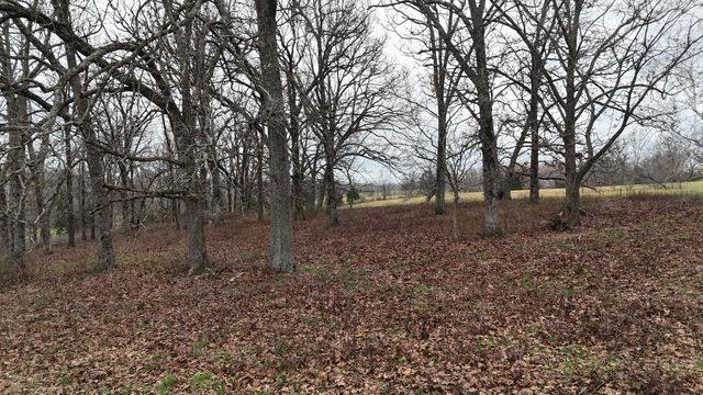 1199 S Diggins Main Street, Seymour, MO 65746