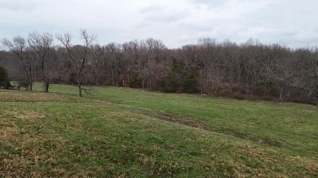 1199 S Diggins Main Street, Seymour, MO 65746