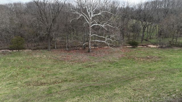 1199 S Diggins Main Street, Seymour, MO 65746