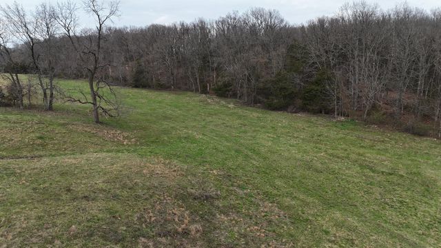 1199 S Diggins Main Street, Seymour, MO 65746