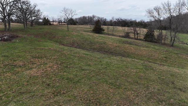 1199 S Diggins Main Street, Seymour, MO 65746