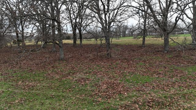 1199 S Diggins Main Street, Seymour, MO 65746