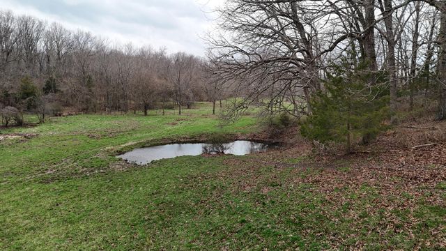 1199 S Diggins Main Street, Seymour, MO 65746