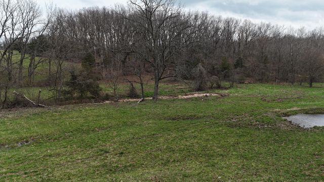 1199 S Diggins Main Street, Seymour, MO 65746