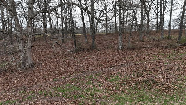 1199 S Diggins Main Street, Seymour, MO 65746