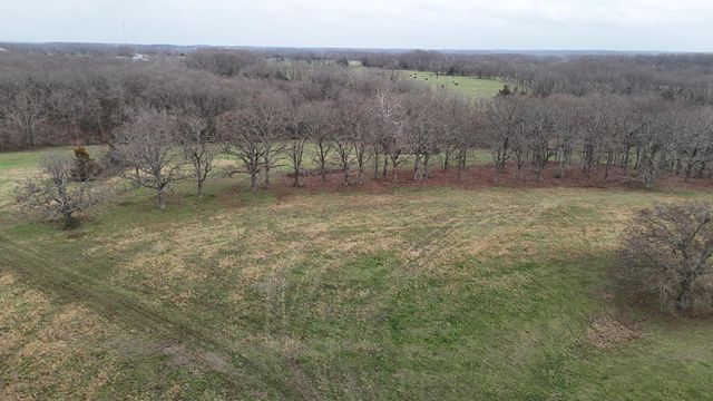 1199 S Diggins Main Street, Seymour, MO 65746