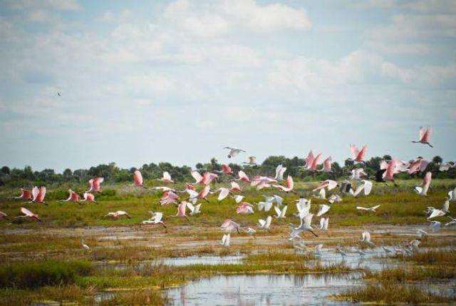 49 Shell Key, Hitchcock, TX 77563