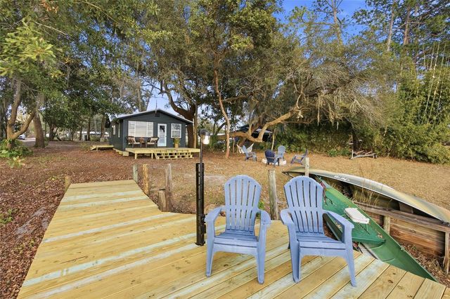 23422 NE 154TH PLACE ROAD, Salt Springs, FL 32134