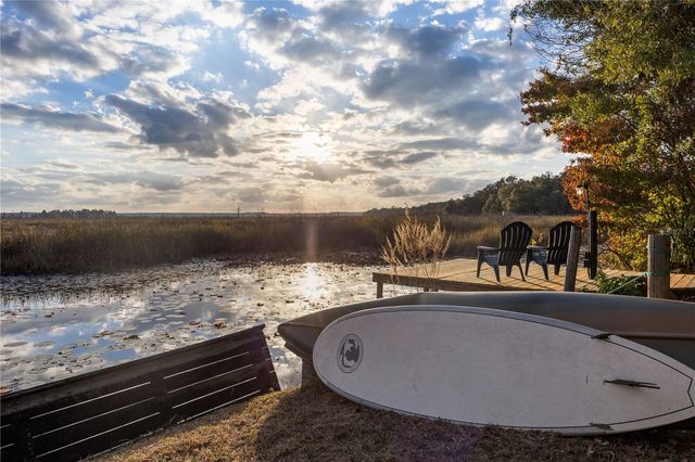 23422 NE 154TH PLACE ROAD, Salt Springs, FL 32134