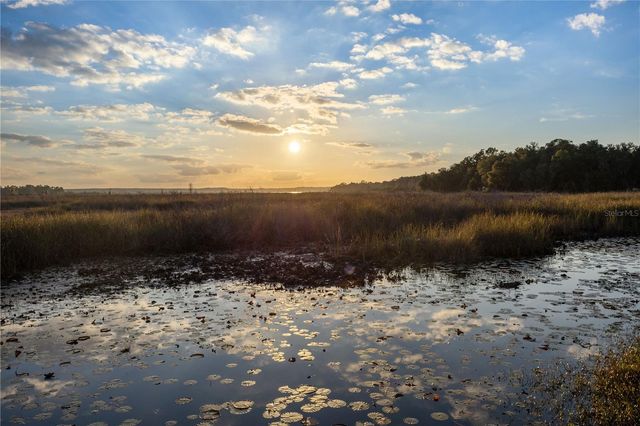 23422 NE 154TH PLACE ROAD, Salt Springs, FL 32134