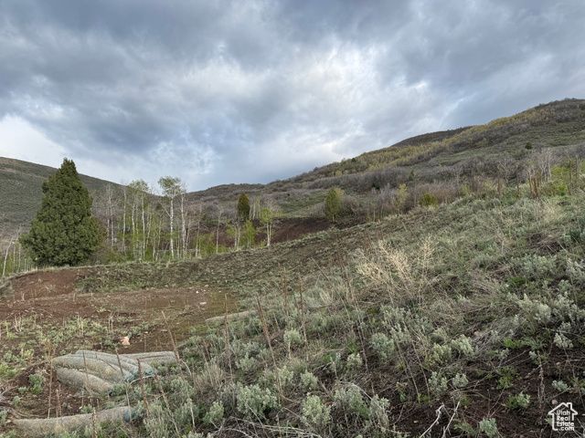 3788 E HUNTLEY WAY, Heber City, UT 84032