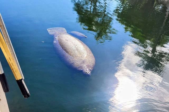 1112 Grand Street and Half Lot, Key Largo, FL 33037