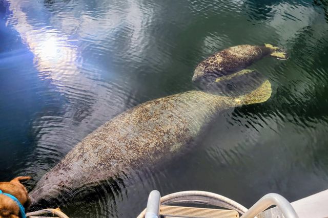 1112 Grand Street and Half Lot, Key Largo, FL 33037