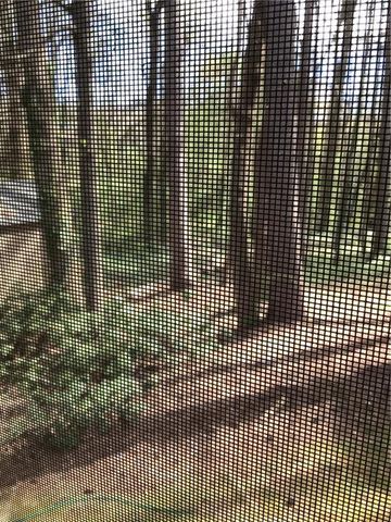 7725 Silversmith Drive, Cumming, GA 30028