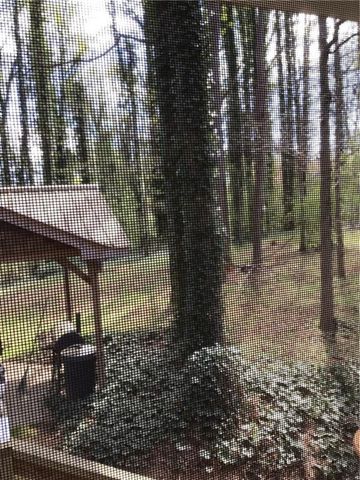 7725 Silversmith Drive, Cumming, GA 30028