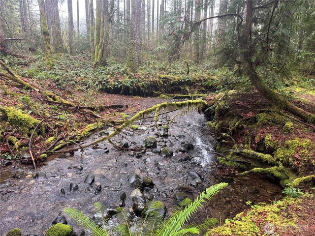 300 N Mount Jupiter, Hoodsport, WA 98548