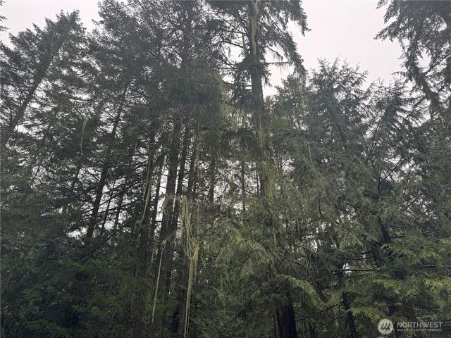 300 N Mount Jupiter, Hoodsport, WA 98548