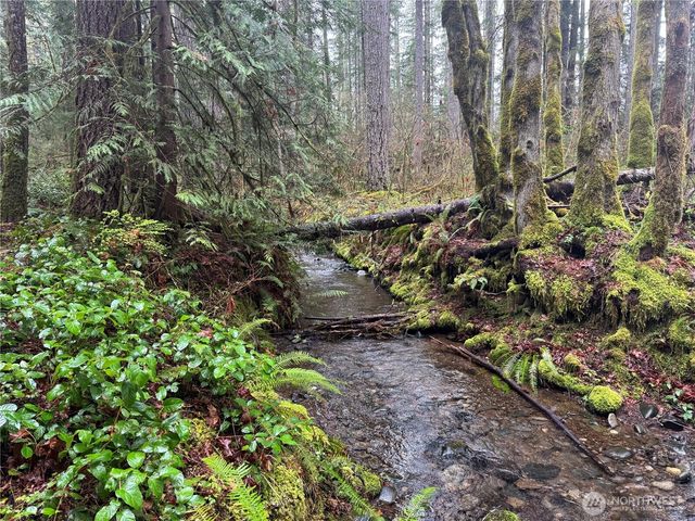 300 N Mount Jupiter, Hoodsport, WA 98548