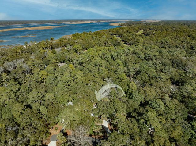 50 Crested Flycatcher, Kiawah Island, SC 29455