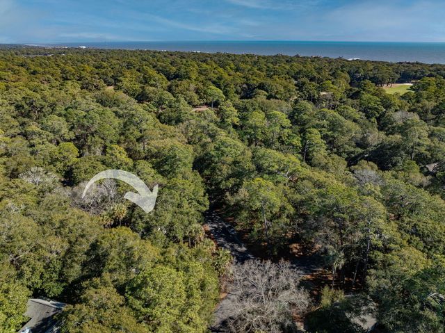 50 Crested Flycatcher, Kiawah Island, SC 29455