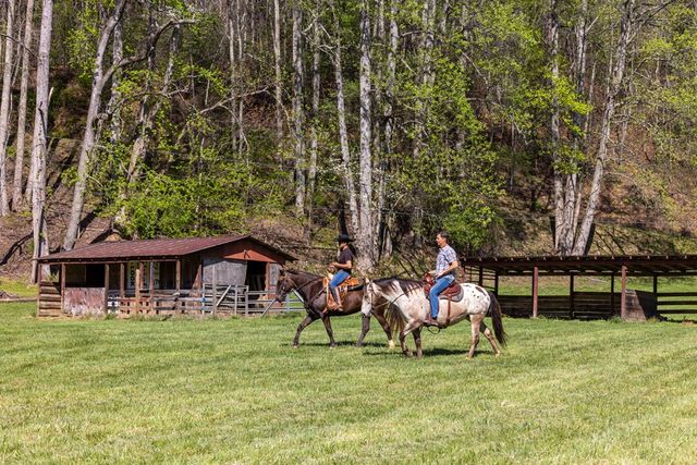 853 Caler Road, Brasstown, NC 28902