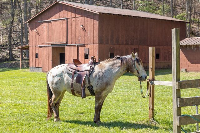 853 Caler Road, Brasstown, NC 28902