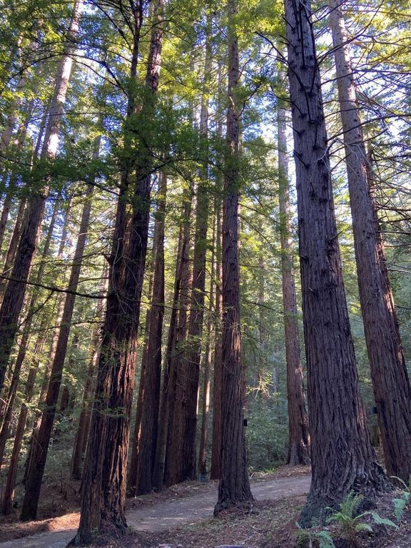 Image 1 of property listing at 155 Native Sons Road, Woodside, CA 94062