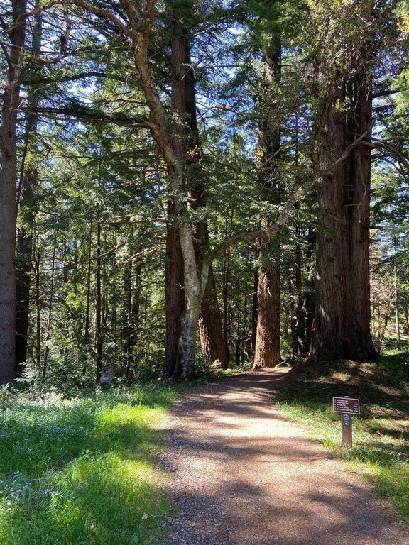 Image 11 of property listing at 155 Native Sons Road, Woodside, CA 94062