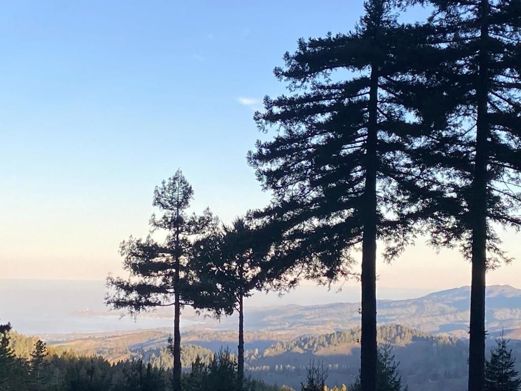 Image 14 of property listing at 155 Native Sons Road, Woodside, CA 94062