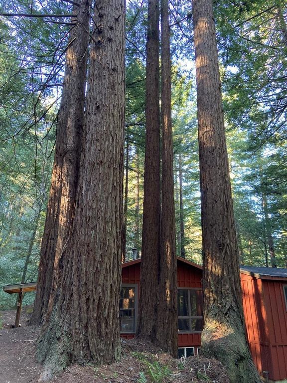 Image 2 of property listing at 155 Native Sons Road, Woodside, CA 94062