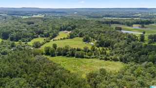 8.2AC COUNTY ROAD 501, Hanceville, AL 35077