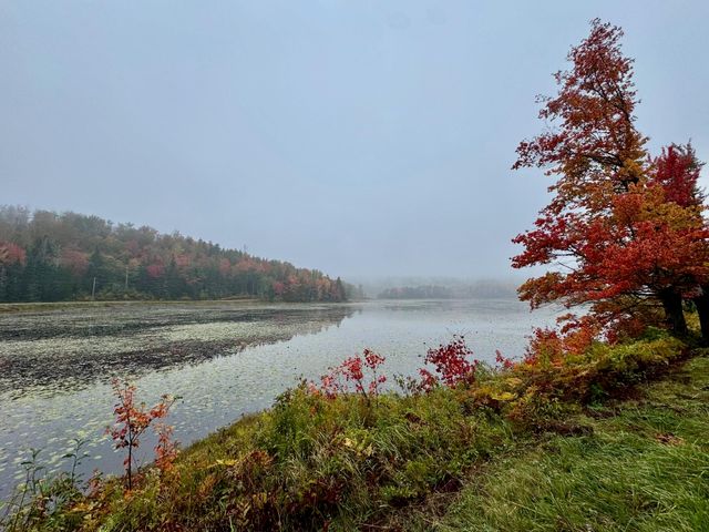 715 Chase Road, Windham, VT 05359