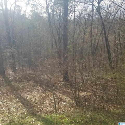 539 SHADY BROOK LANE, Cropwell, AL 35054