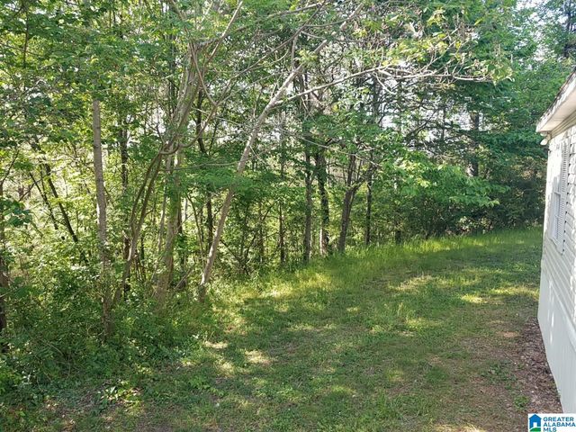 539 SHADY BROOK LANE, Cropwell, AL 35054