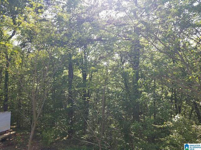 539 SHADY BROOK LANE, Cropwell, AL 35054