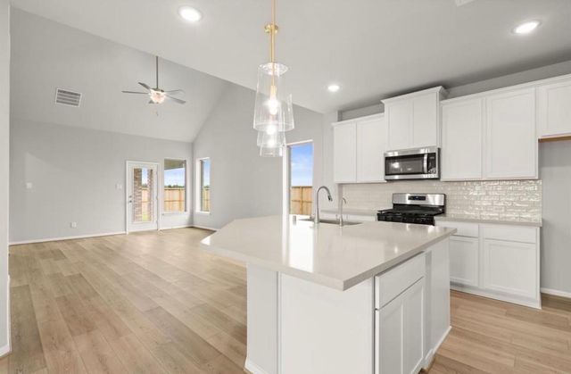 17063 Shimmer Ray Street, Hockley, TX 77447