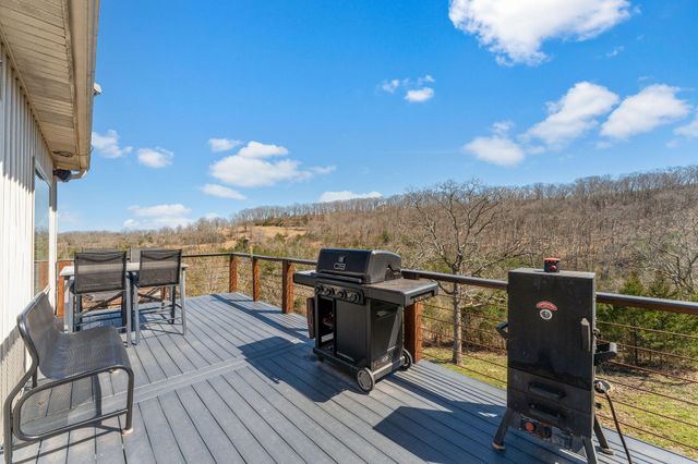 260 Gabby Lane, Walnut Shade, MO 65771