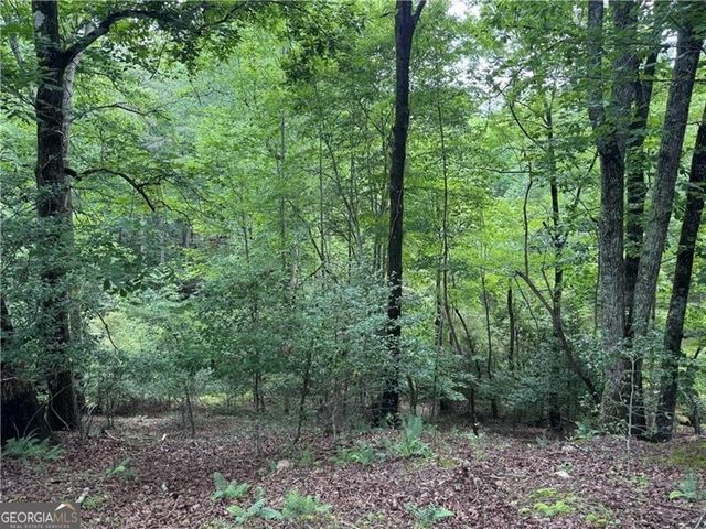 0 Ben Higgins Road, Dahlonega, GA 30533