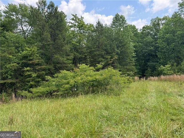 0 Ben Higgins Road, Dahlonega, GA 30533