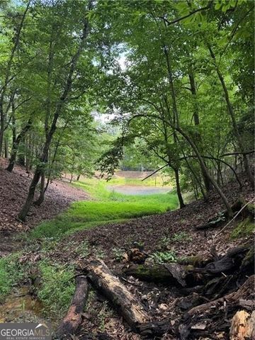 0 Ben Higgins Road, Dahlonega, GA 30533