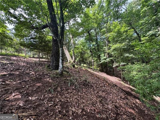 0 Ben Higgins Road, Dahlonega, GA 30533