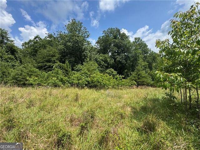 0 Ben Higgins Road, Dahlonega, GA 30533