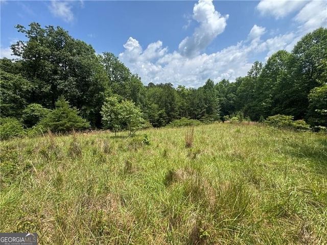 0 Ben Higgins Road, Dahlonega, GA 30533