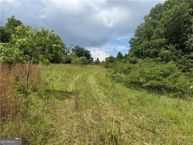 0 Ben Higgins Road, Dahlonega, GA 30533