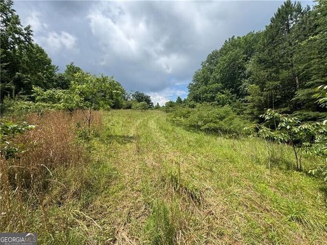 0 Ben Higgins Road, Dahlonega, GA 30533